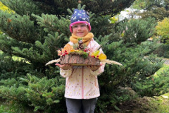 15fc6f20-0224-4cf7-8ec6-331e3dddbdf0