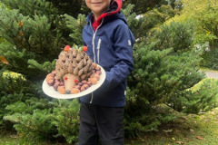 33c13afb-6370-4286-8579-81da5a32c477