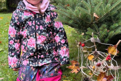 63eb96c1-ff06-4991-a0ba-18dde11b6a2d