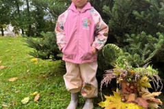 cf018305-bffd-44a8-acbf-795491a0330d